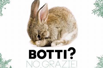 No ai botti di Capodanno